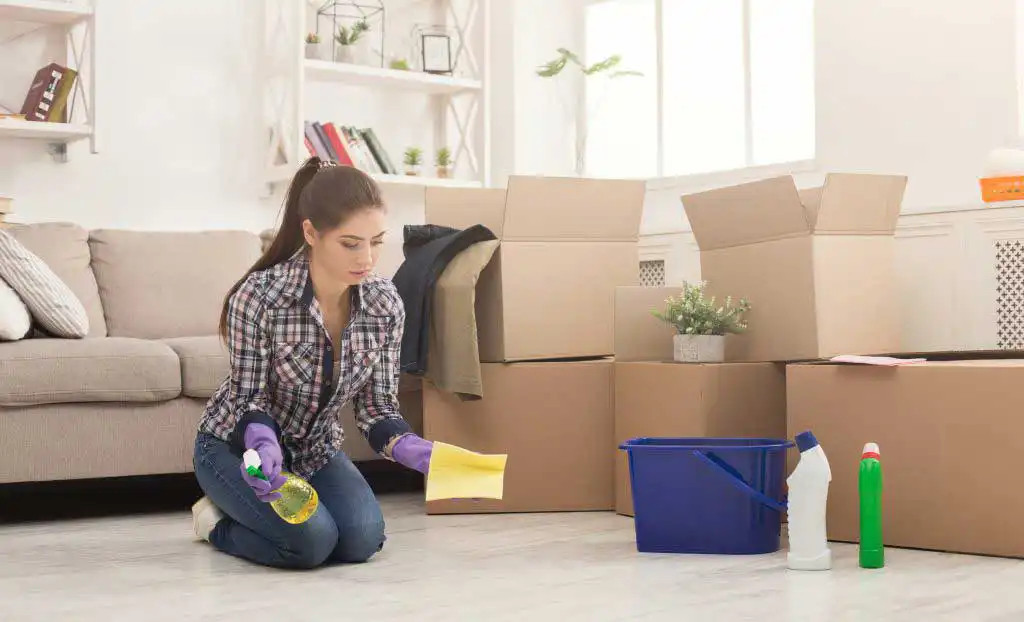 Cleaning Service  Cleaning Service